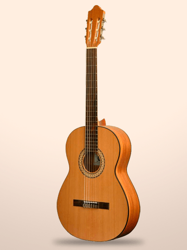 Guitarra Camps SN-1