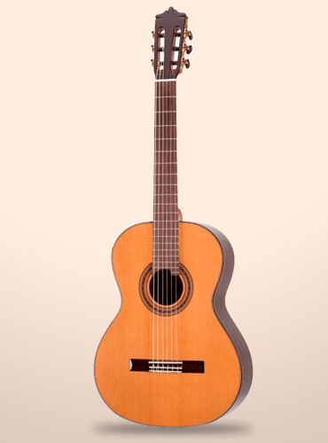 guitarra martínez mcg-58c
