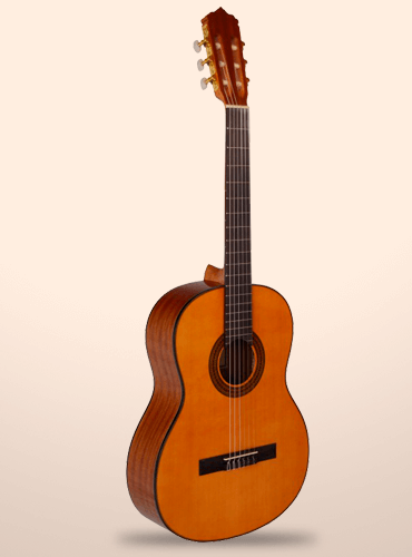 guitarra vicente tatay c320.203
