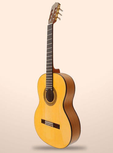 guitarra vicente tatay c320.580