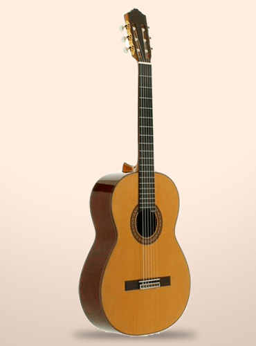 guitarra josé torres jtc-100
