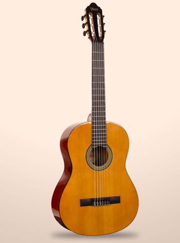 guitarra valencia vc274