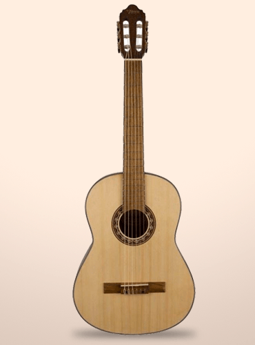 guitarra valencia vc314