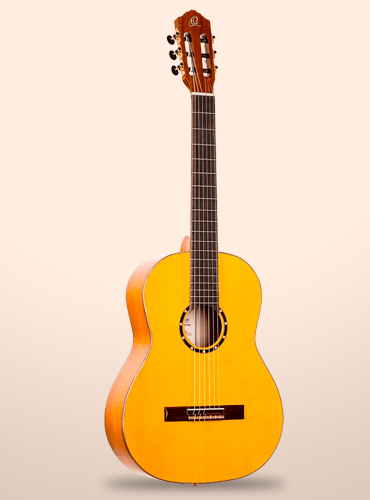 guitarra ortega r170f