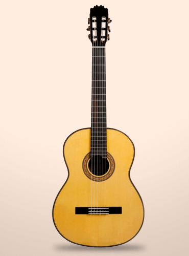 ▷ Guitarra Martínez MF-5 >>【 DESCUENTO 5% 】- ¡Financia!