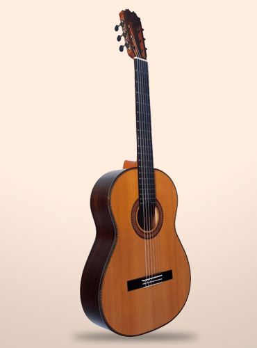 guitarra antonio de toledo jr-5