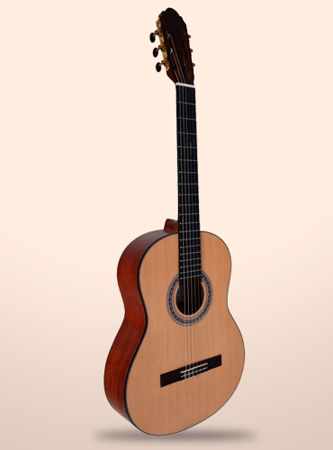 guitarra vicente tatay c320.302