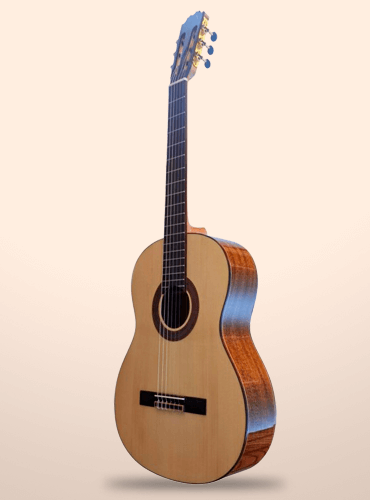 guitarra vicente tatay c320.590pf
