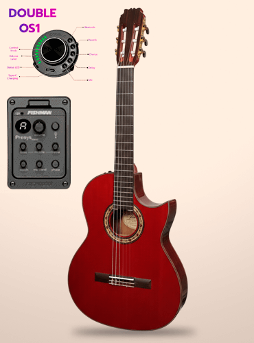 guitarra modesto malla flaca