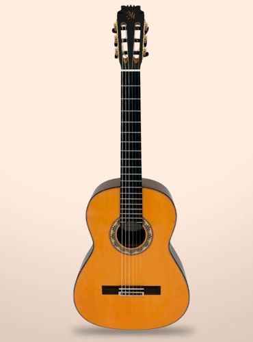 guitarra modesto malla excelencia