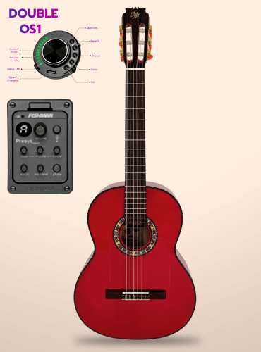 guitarra modesto malla farruca