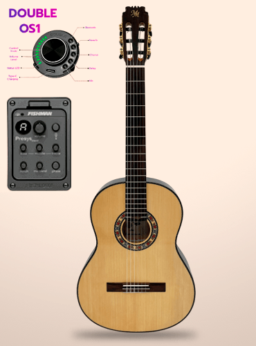 guitarra modesto malla zarzamora