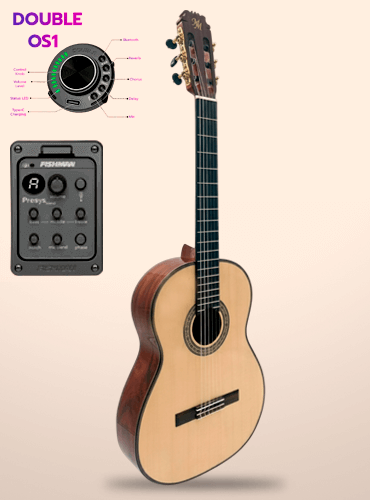guitarra modesto malla canela